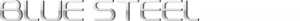 bslogo
