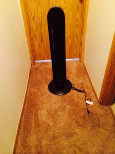 IMG_0036