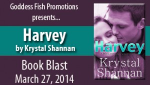 MBB_Harvey_Banner