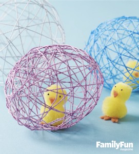 Chick in egg