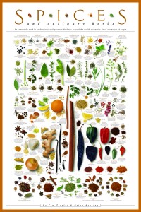 SPICES Poster