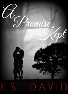 MediaKit_BookCover_APromiseKept