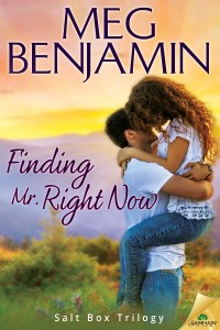 BookCover_FindingMrRightNow