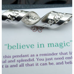 667_believe.fw