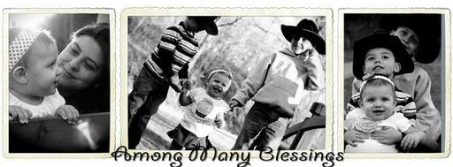 Among Many Blessings